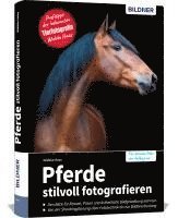 bokomslag Pferde stilvoll fotografieren