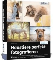 bokomslag Haustiere perfekt fotografieren