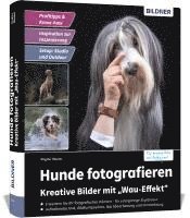 bokomslag Hunde fotografieren - Kreative Bilder mit 'Wau-Effekt'