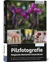 bokomslag Pilzfotografie - Magische Momente inszenieren