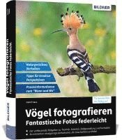 bokomslag Vögel fotografieren