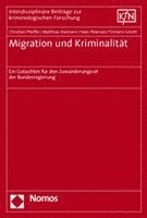 bokomslag Migration Und Kriminalitat: Ein Gutachten Fur Den Zuwanderungsrat Der Bundesregierung