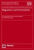 Migration Und Kriminalitat: Ein Gutachten Fur Den Zuwanderungsrat Der Bundesregierung 1