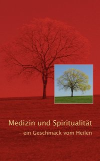 bokomslag Medizin und Spiritualitt