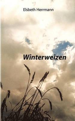 Winterweizen 1