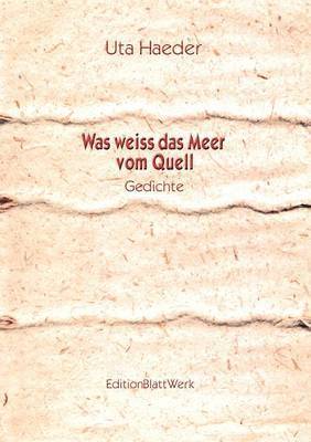 bokomslag Was weiss das Meer vom Quell
