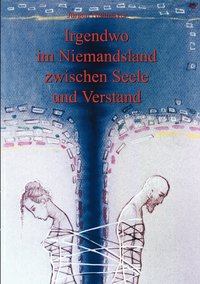 bokomslag Irgendwo im Niemandsland zwischen Seele und Verstand