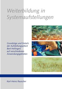 bokomslag Weiterbildung in Systemaufstellungen