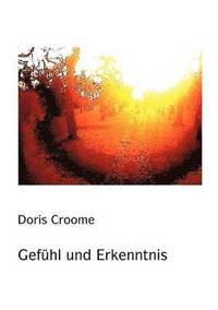 bokomslag Gefühl und Erkenntnis