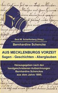 bokomslag Aus Mecklenburgs Vorzeit