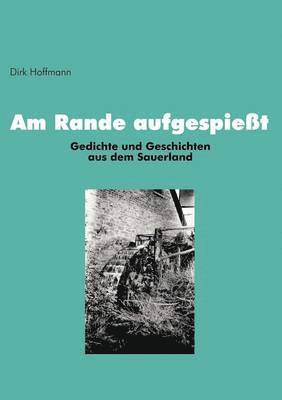 Dirk Hoffmann - Am Rande aufgespießt, Häftad