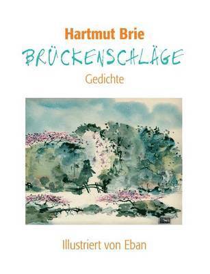 bokomslag Brückenschläge