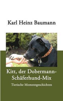 Kitt, der Dobermann-Schferhund-Mix 1