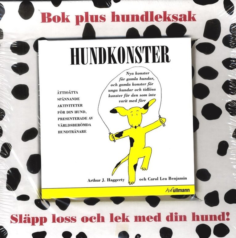 Arthur J. Haggerty, Carol Lea Benjamin - Hundkonster - bok+leksak, Inbunden