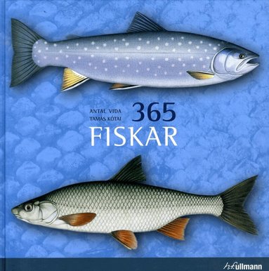 Antal Vida - 365 Fiskar, Inbunden