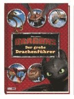 bokomslag Dragons: Der große Drachenführer