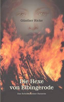 Günther Ricke, Gunther Ricke - Hexe von Elbingerode, Häftad