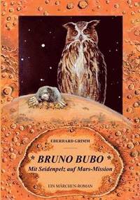 bokomslag Bruno Bubo