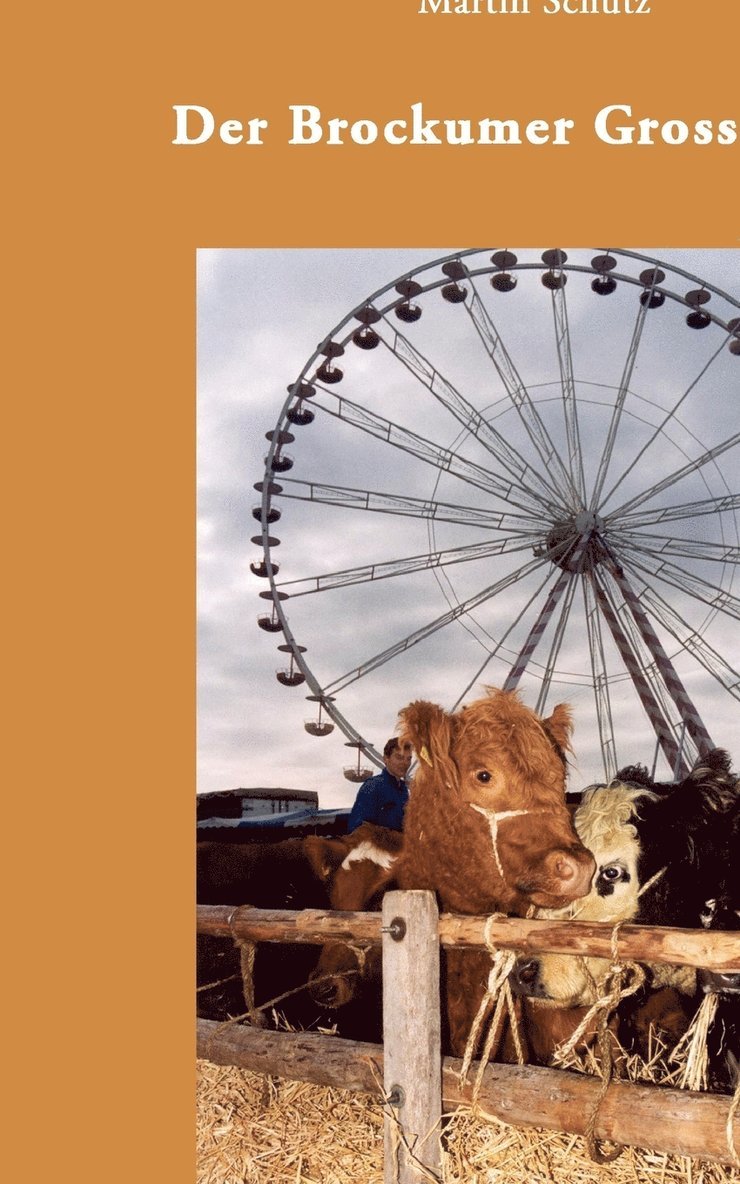 Reinhard Meyer - Insel der Visionen, Häftad