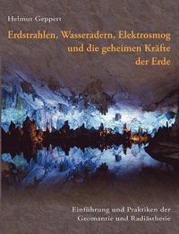 bokomslag Erdstrahlen, Wasseradern, Elektrosmog und die geheimen Krfte der Erde