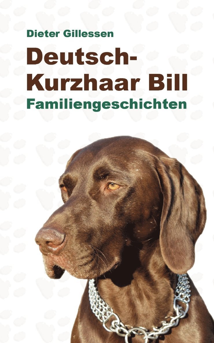 Deutsch-Kurzhaar Bill 1