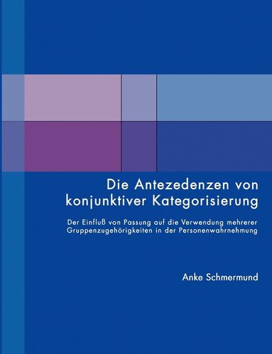 bokomslag Die Antezedenzen von konjunktiver Kategorisierung