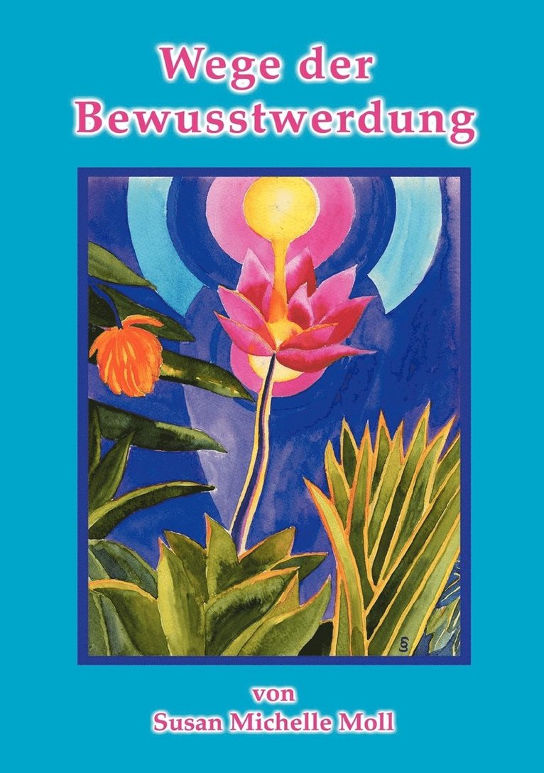 Susan Michelle Moll - Wege der Bewusstwerdung, Häftad