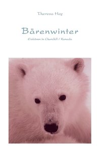 bokomslag Bärenwinter