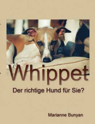 bokomslag Whippet