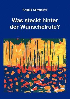 bokomslag Was steckt hinter der Wünschelrute?