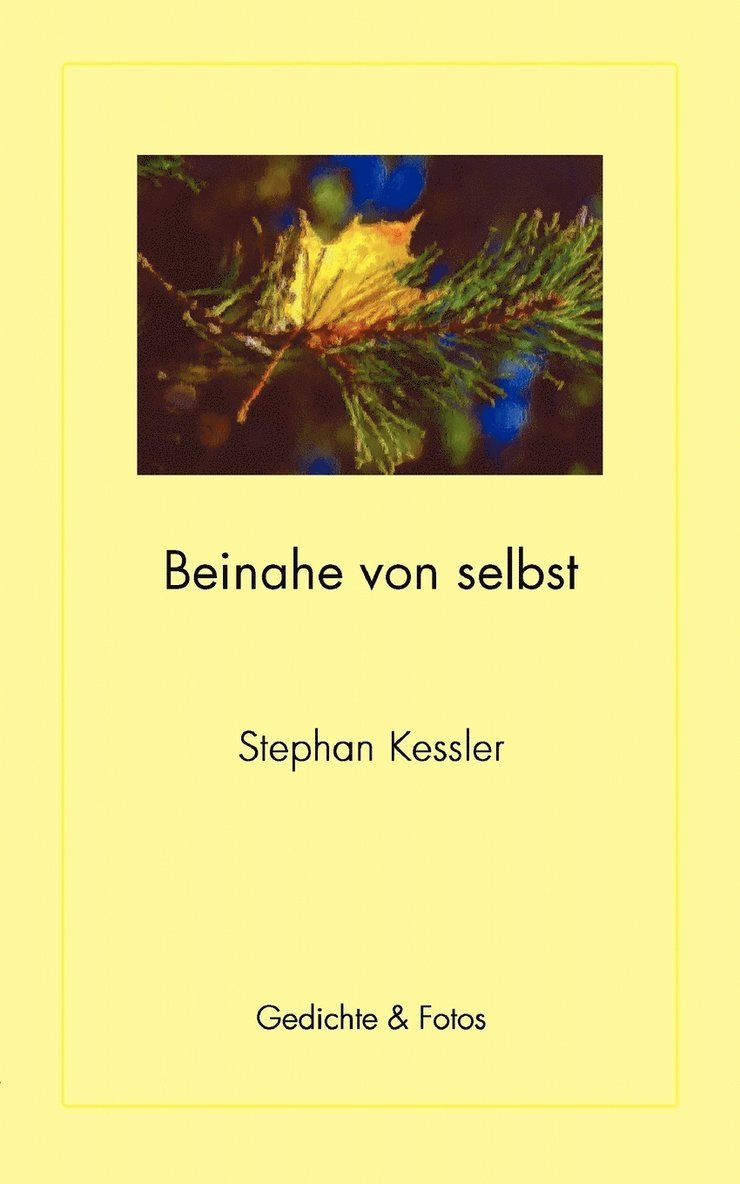 Stephan Kessler - Beinahe von selbst, Häftad