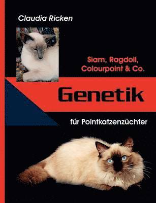 Claudia Ricken - Genetik für Pointkatzenzüchter, Häftad