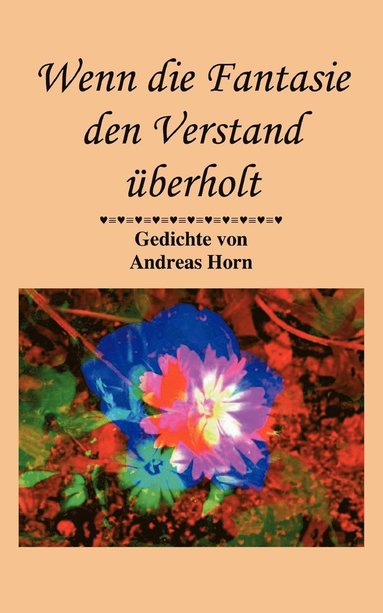 bokomslag Wenn die Fantasie den Verstand überholt