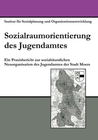Marco Szlapka, Thomas Fink - Sozialraumorientierung des Jugendamtes, Häftad