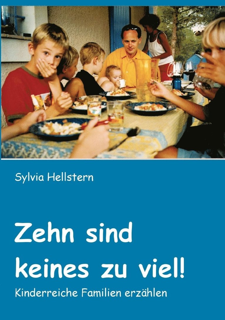 Sylvia Hellstern - Zehn sind keines zu viel!, Häftad