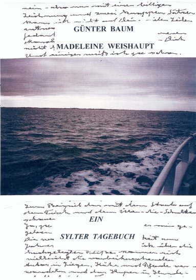 bokomslag Sylter Tagebuch