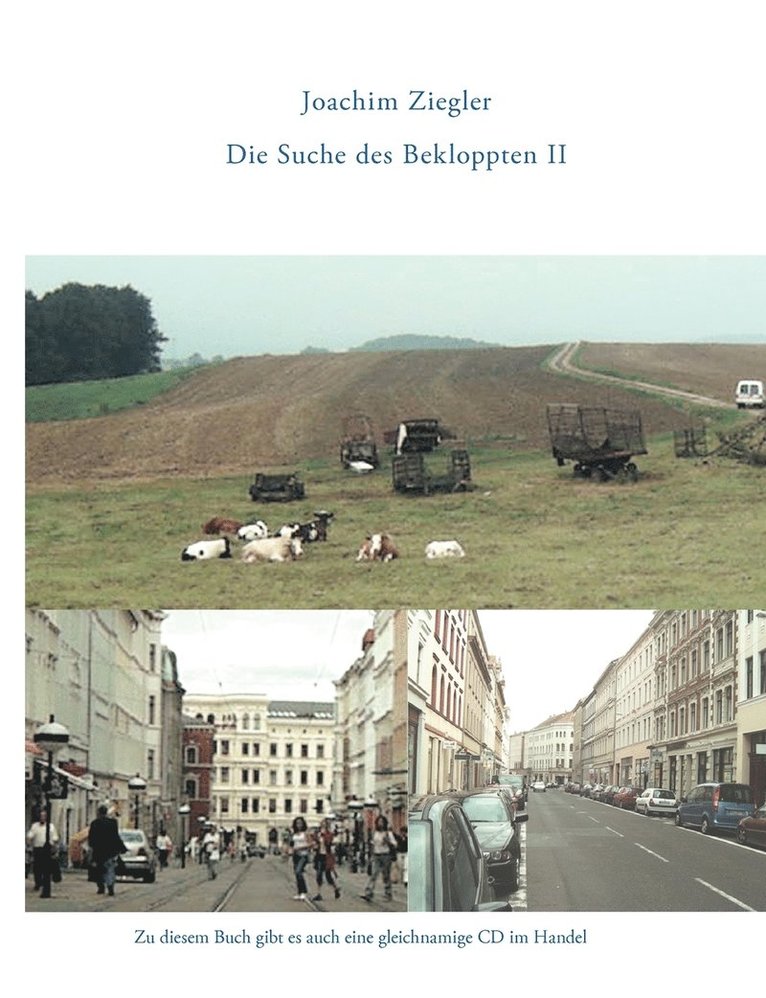 Joachim Ziegler - Suche des Bekloppten Teil 2, Häftad
