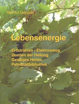 Lebensenergie 1