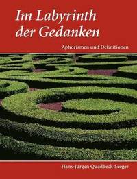 bokomslag Im Labyrinth der Gedanken