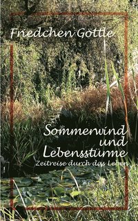 bokomslag Sommerwind und Lebensstürme