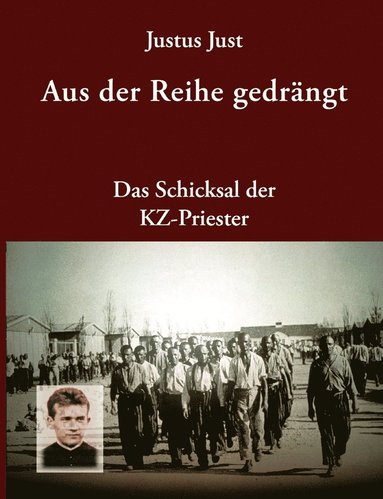 bokomslag Aus der Reihe gedrängt