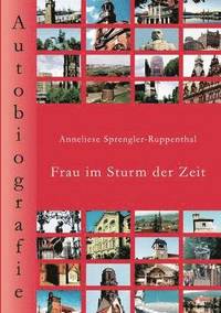 bokomslag Frau im Sturm der Zeit