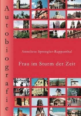 bokomslag Frau im Sturm der Zeit