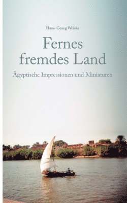 bokomslag Fernes fremdes Land