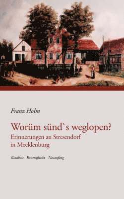 bokomslag Worüm sünd's weglopen