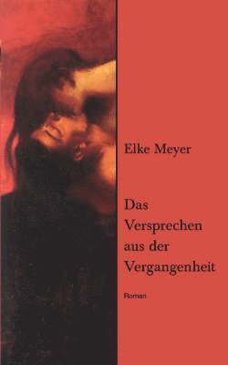Elke Meyer - Versprechen aus der Vergangenheit, Häftad