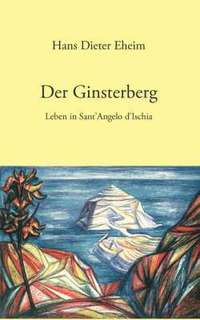 bokomslag Der Ginsterberg