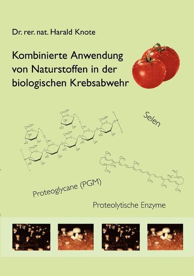 bokomslag Kombinierte Anwendung von Naturstoffen in der biologischen Krebsabwehr