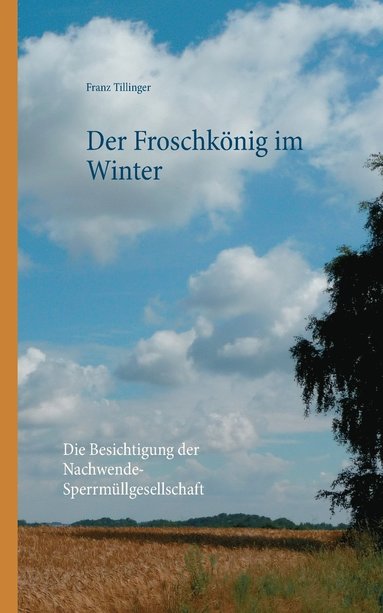 bokomslag Der Froschkoenig im Winter