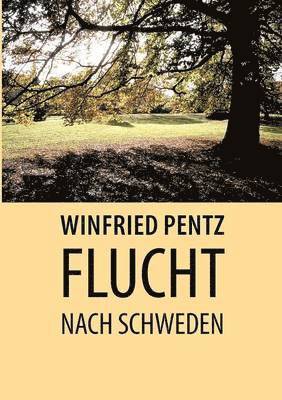 bokomslag Flucht nach Schweden